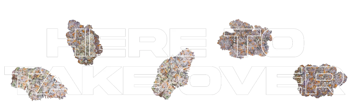 Here To Take Over